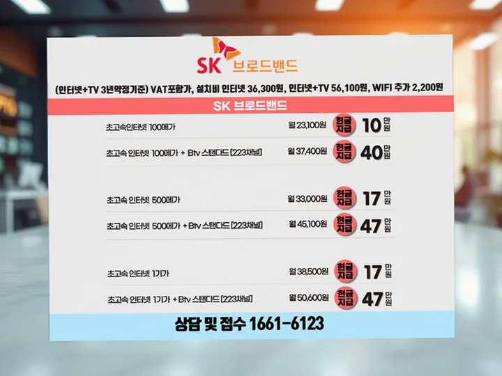 일산동 인터넷 설치 사례 3
