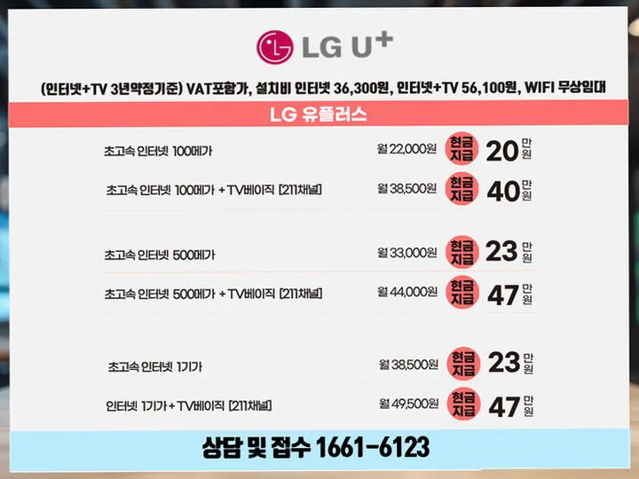 음성 인터넷 설치 사례 4